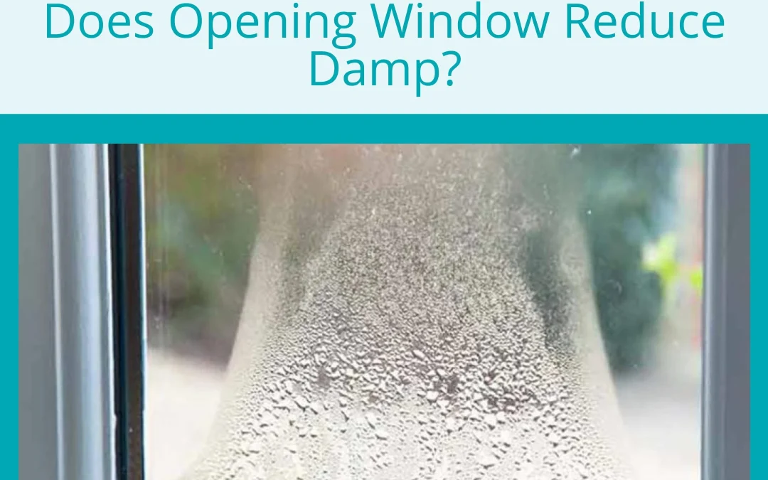 Does Opening Windows Reduce Damp?