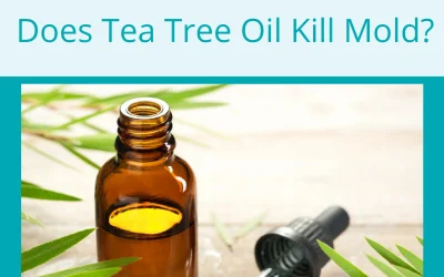 Does Heating Help with Damp?