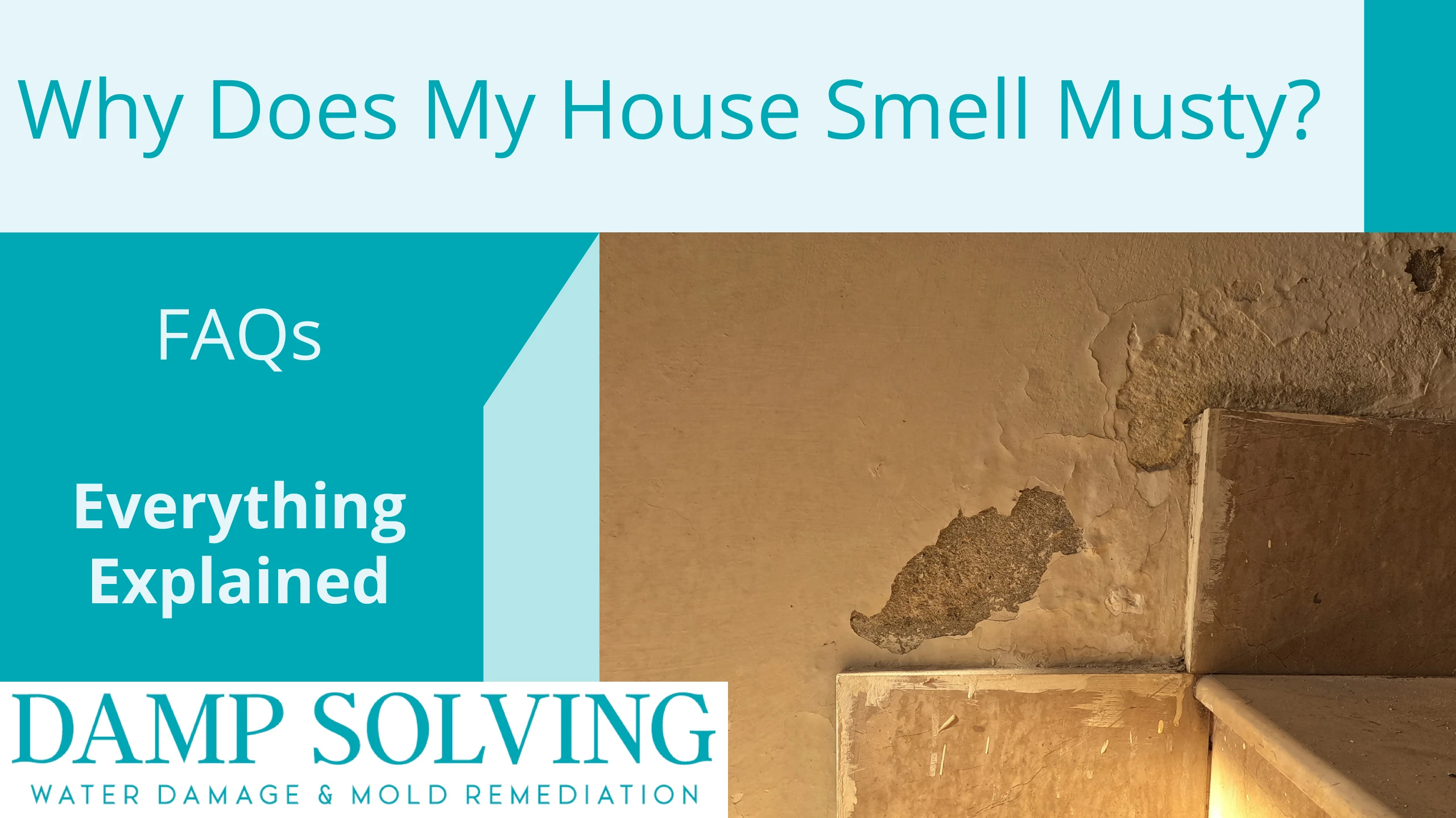 Mold growth visible on wall framing after drywall removal during water damage restoration