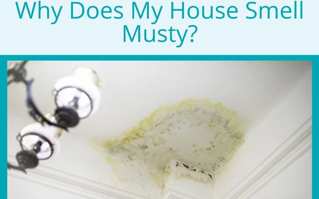 Why Does My House Smell Musty?