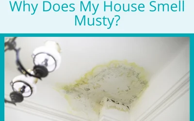 Why Does My House Smell Musty?